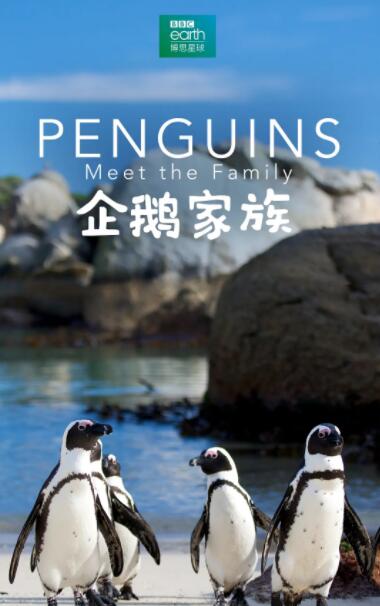 2018纪录片《企鹅家族》迅雷下载_中文完整版_百度云网盘720P|1080P资源