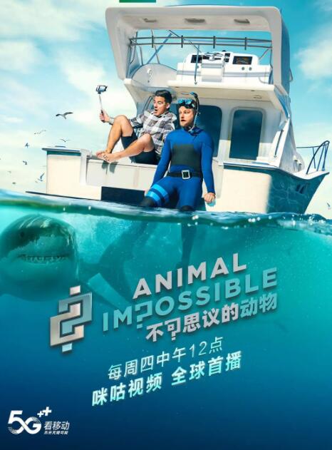 2018纪录片《不可思议的动物》迅雷下载_中文完整版_百度云网盘720P|1080P资源