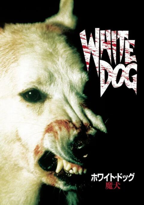 白狗
