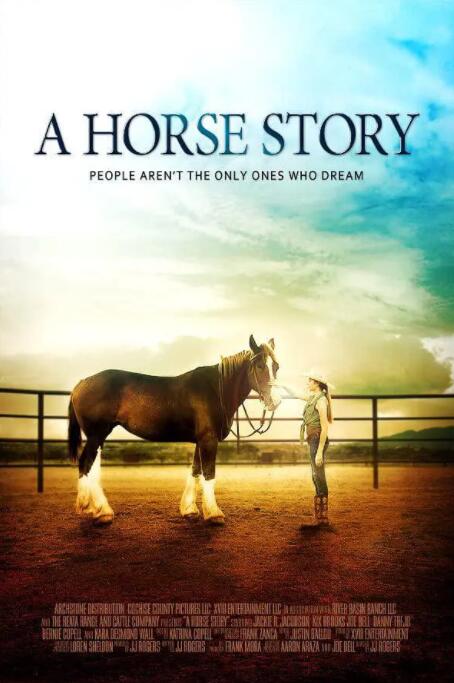 马的故事海报封面