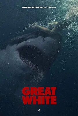 大浪白鲨免费观看