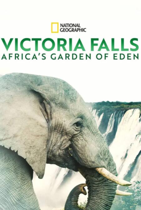 维多利亚瀑布非洲的伊甸园